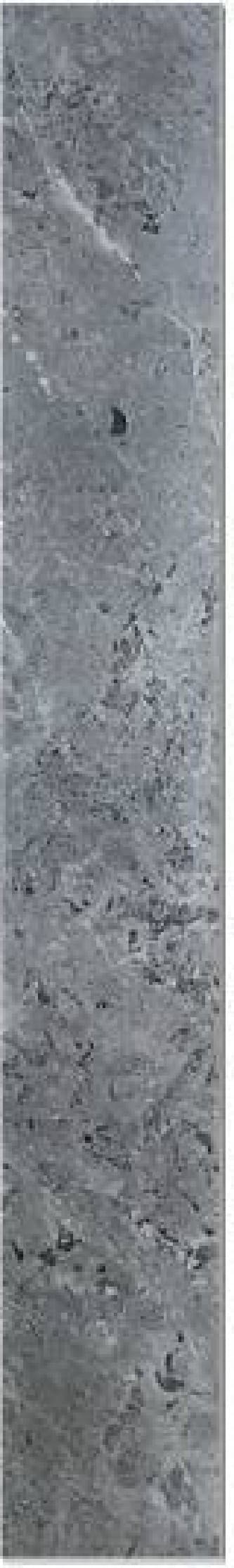 Contratreaptă marmură Royal Grey - textură