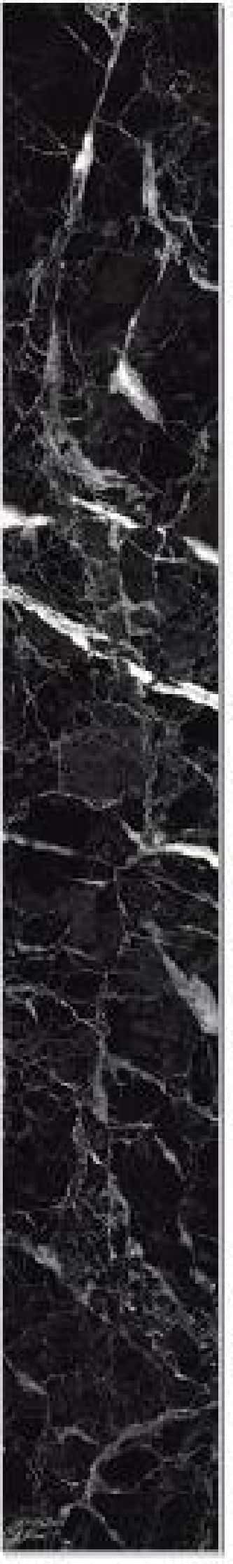 Contratreaptă New HG Black Emperador - textură