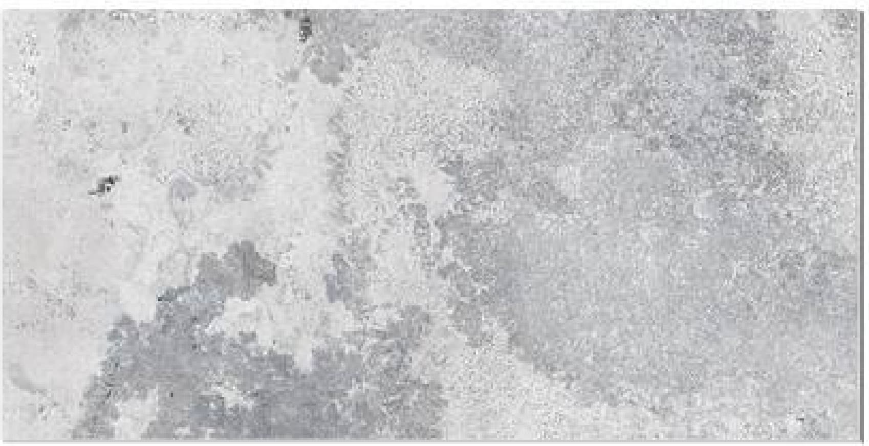 Faianță 40229 B-PL - textură