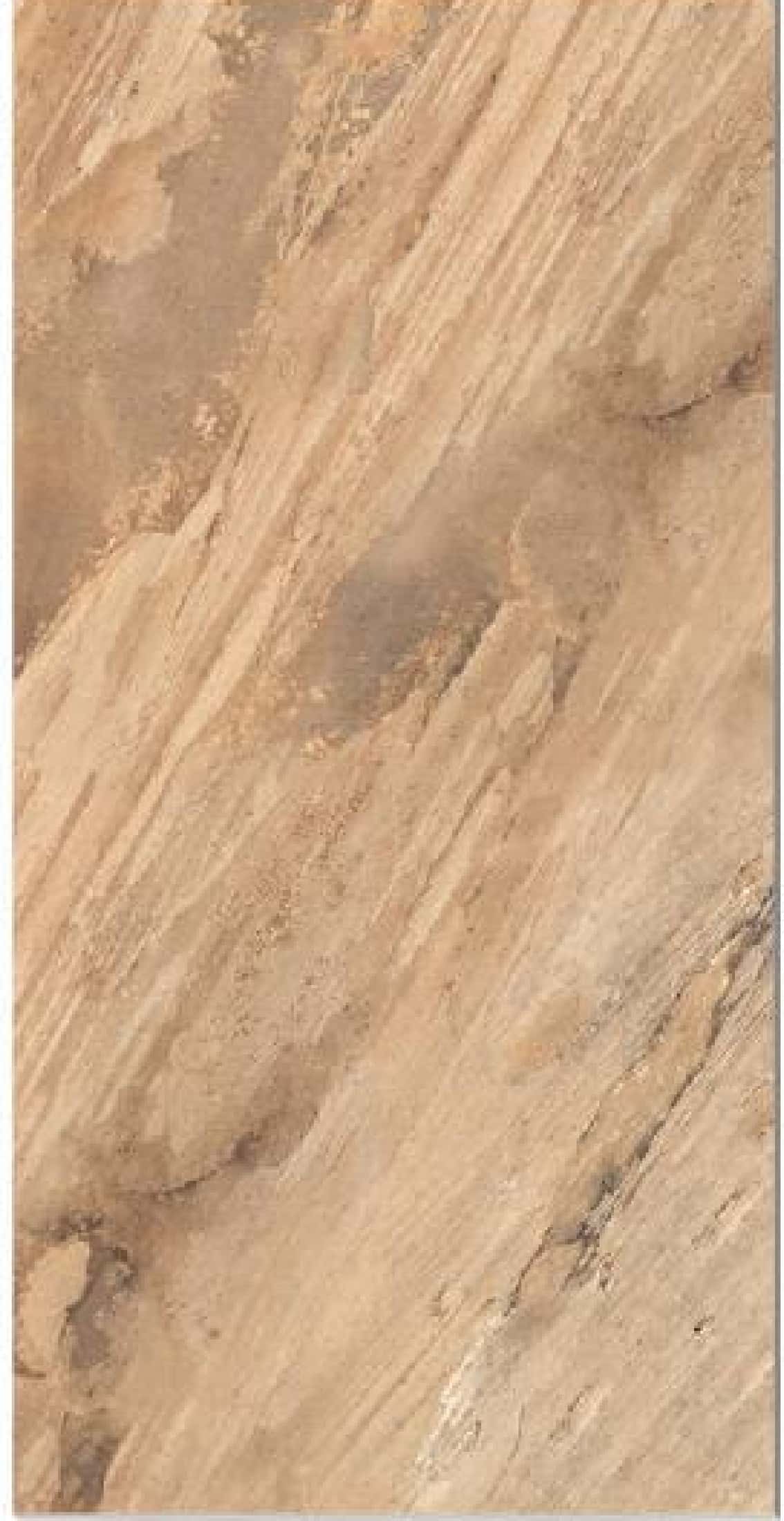 Fossil Natural Grande - textură