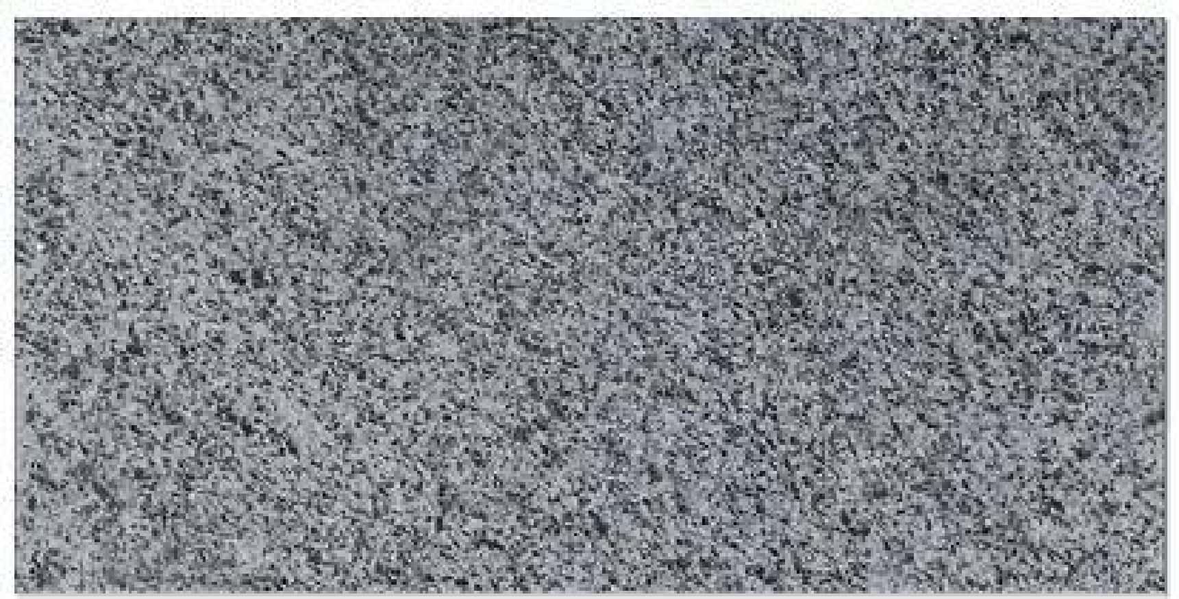 Granit NH Gri 1.8 cm, fiamat - textură