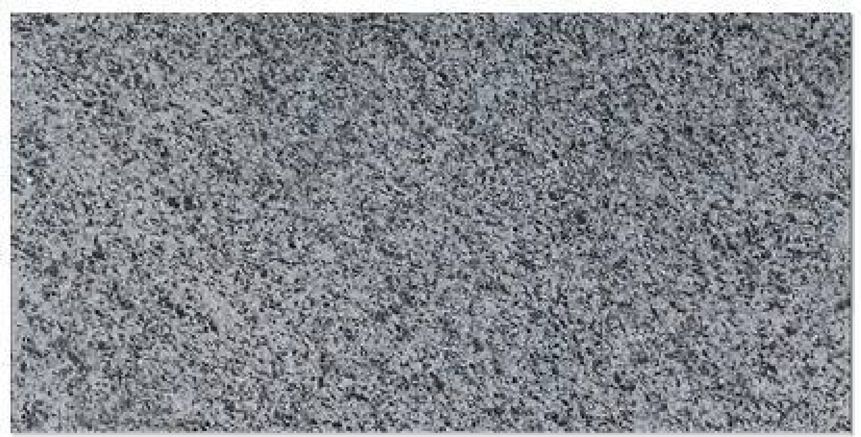 Granit NH Gri 1.8 cm, fiamat - textură