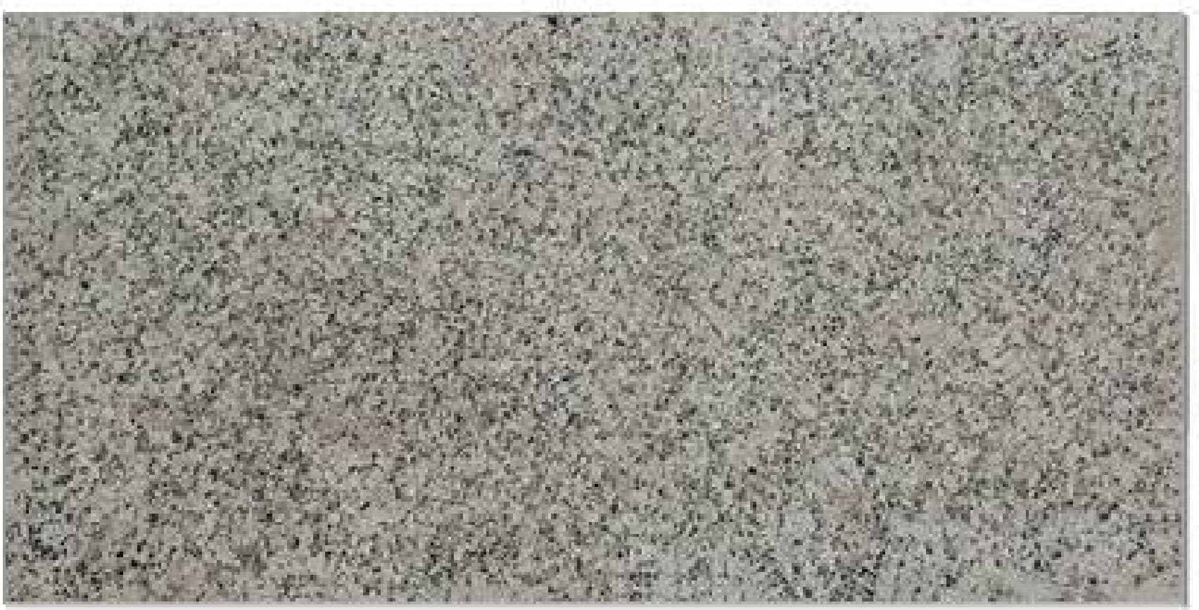Granit RH 1.8 cm, fiamat - textură