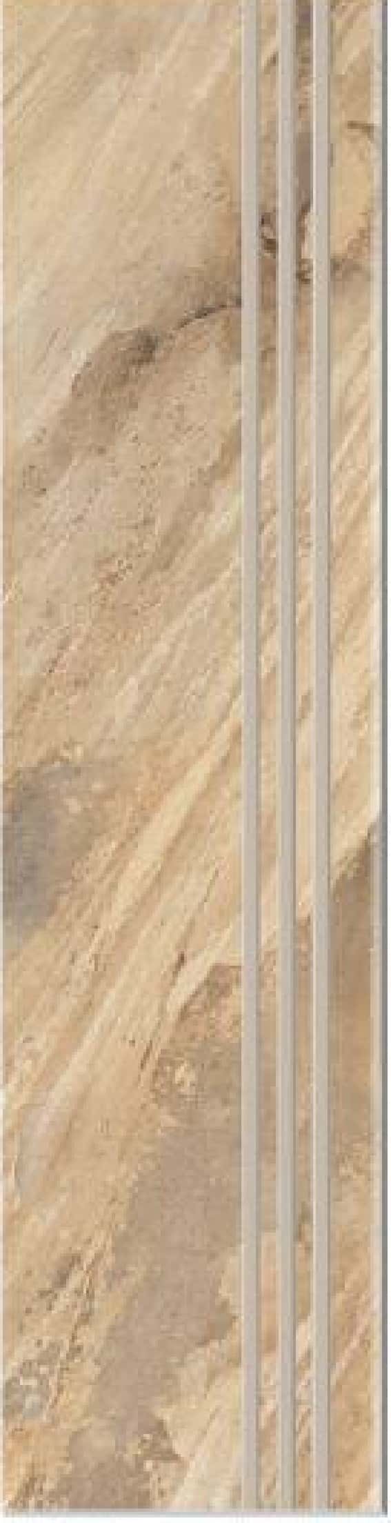 Treaptă Fossil Natural Grande - textură