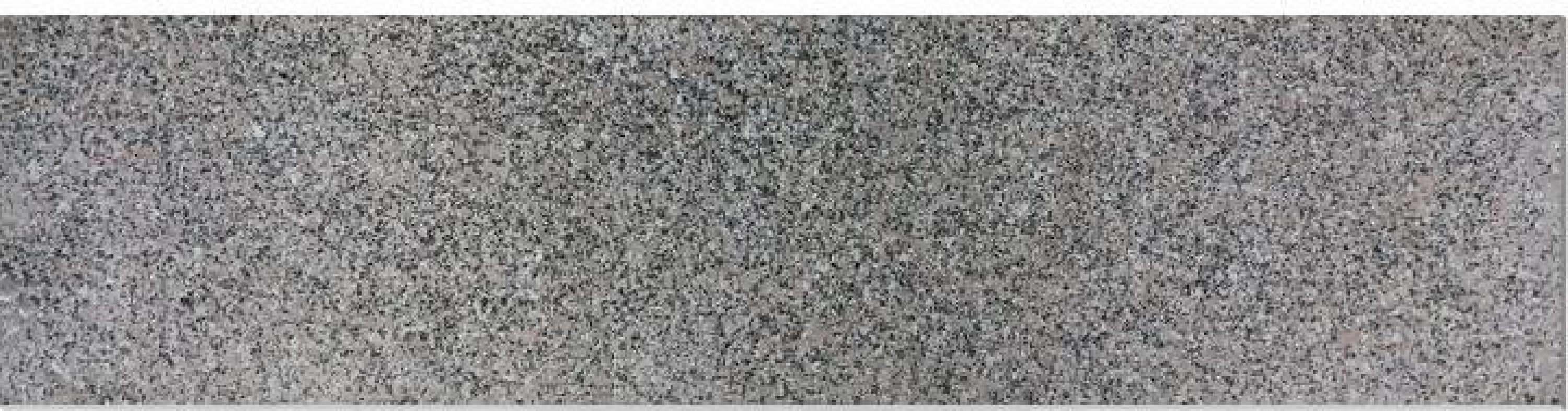 Treaptă granit RH 1.8 cm, fiamat - textură